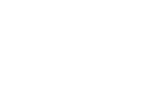 イラスト:鳥